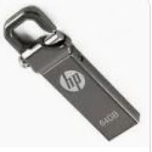 HP 8GB Flash Disk